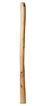 Medium Size Natural Finish Didgeridoo (TW786)